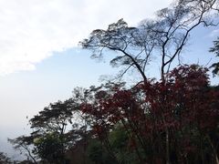 -广州市石门国家森林公园