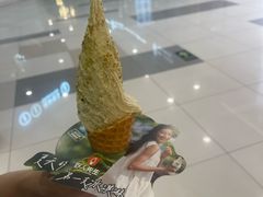 -野人先生Gelato(上海长宁龙之梦店)