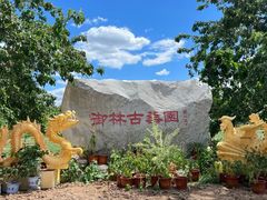 -御林古桑园