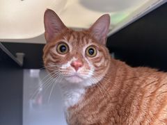 -宠颐生宠物医院·骨外科·犬猫全科诊疗中心(池州店)