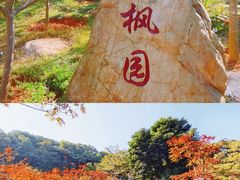 -广州市帽峰山景区