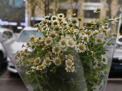 -雪蔓之鲜花气球派对(家佳源时代中心店)