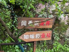 -龙井壹号·茶缘山景宴(龙井村店)