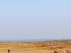 -日照海滨国家森林公园