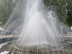 -石家庄市植物园