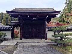 -西芳寺(苔寺)