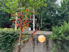 -庐灶江南·江南菜·四合院Bistro(东直门雍和宫·原华侨宾馆店)