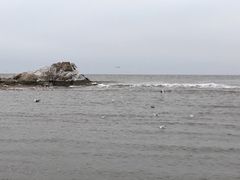 -老虎石海上公园