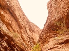 -天山神秘大峡谷