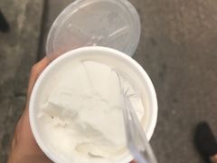 -洪馨椰子