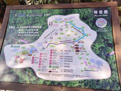 -野象谷景区