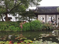 -西湖外事游船(花港观鱼码头)