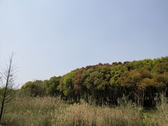 -同里国家湿地公园