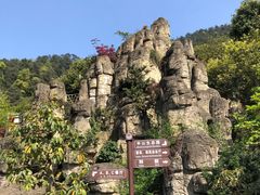 -老幺泉水鸡