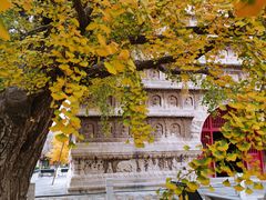 -北京石刻艺术博物馆(五塔寺)