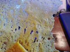 -挂雪铁锅炖大鹅