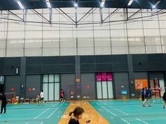 -深圳大运中心世界冠军羽毛球馆