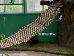 -海合安武汉极地海洋公园