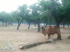 -西安秦岭野生动物园
