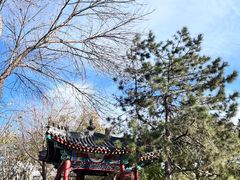 -北京稻香村(零号店)