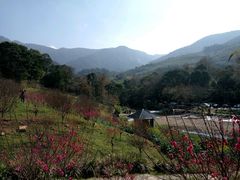 -广州市石门国家森林公园