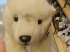 -Behring World of Animals(上海自然博物馆店)