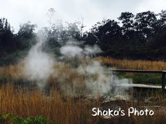 -夏威夷火山国家公园