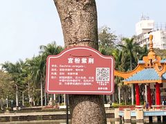 -金砂公园