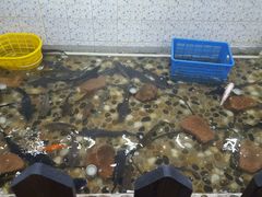 -白洋淀灶台鱼(名佳花园店)