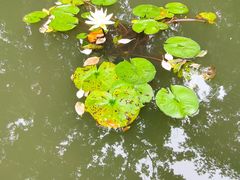 -常州古运河南大街文化旅游区-人民公园