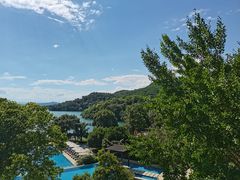 -逸廊大堂吧-下午茶·简餐-千岛湖自由洲际殿