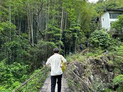 -泽雅七瀑涧景区