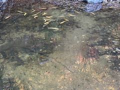 -本溪汤沟绿石谷森林公园