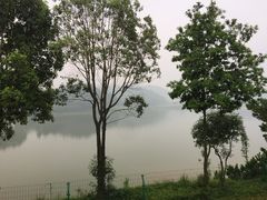 -美的鹭湖森林度假区