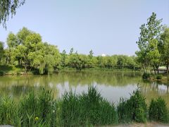 -西安浐灞国家湿地公园
