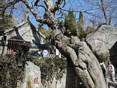 -青岛崂山太清宫
