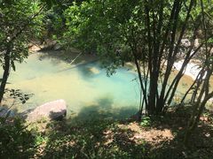 -广州白江湖森林公园