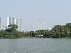 -顺峰山公园