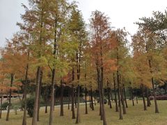 -晓港公园