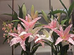 -鑫小城故事·藕汤·家常菜(台北一路总店)