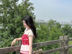 -成都南湖公园