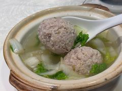 -丁老爷子苏香圆