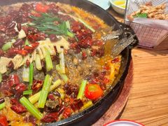 -老板恋上鱼(恒隆广场店)