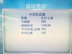 -威尔仕健身(金茂店)