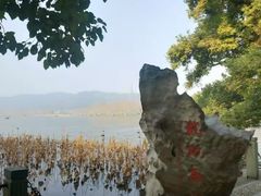 -湖畔居茶楼(湖滨店)