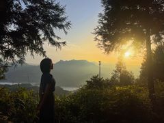 -重庆睡佛山森林公园