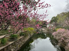 -无锡蠡湖国家湿地公园-蠡园