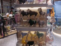 -momokira米努特·德文卷毛猫·棉花面纱犬