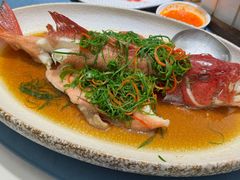 清蒸东星斑-大林苑世家精细潮州菜