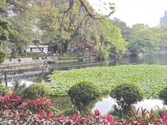 -荔湾湖公园